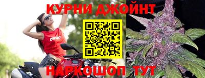 прущий лед Будённовск