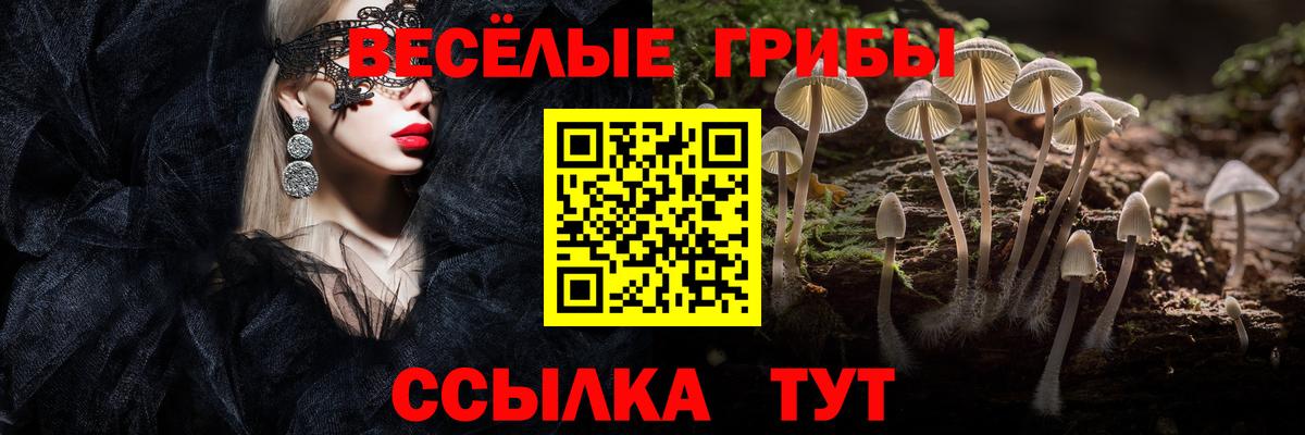 Псилоцибиновые грибы MAGIC MUSHROOMS Феодосия
